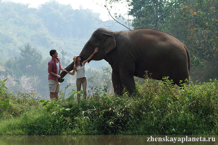 незабываемые-впечатления-от-встречи-со-слоном
