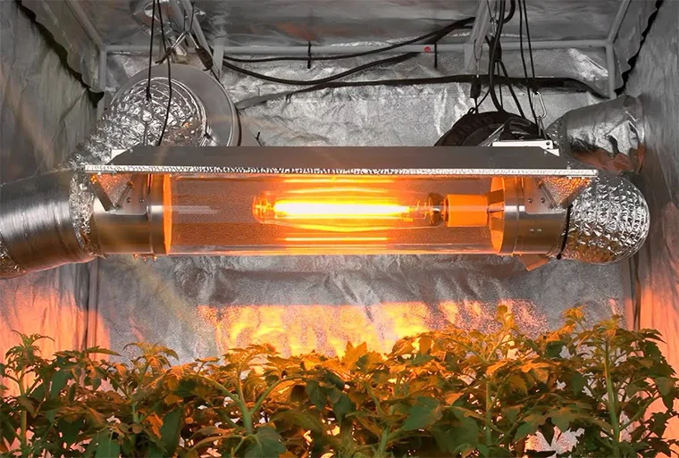 натриевая лампа для растений