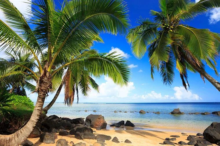 пляжный отдых на Гавайях