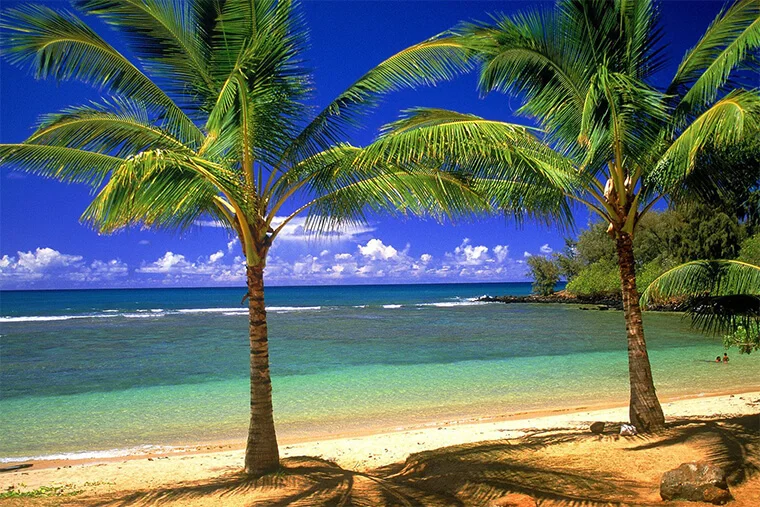 Гаваї чи Кариби, куди полетіти у грудні на пляжний відпочинок?