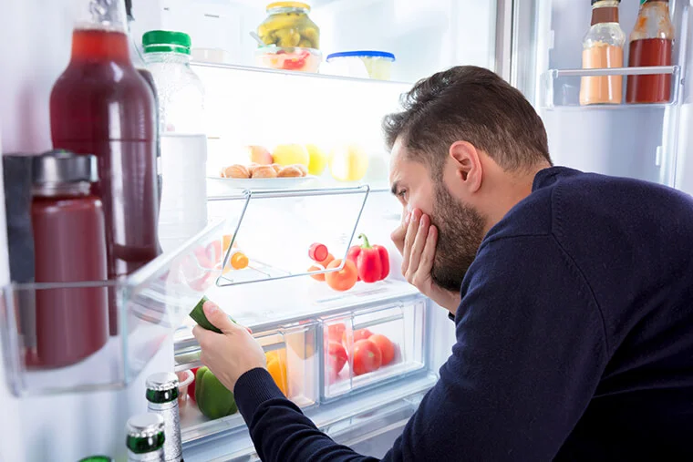плесень в холодильнике